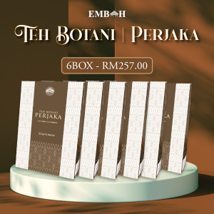 6 Kotak Teh Srikandi